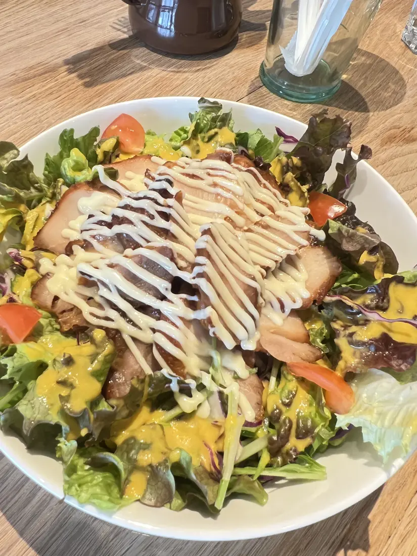 テリヤキチキン丼